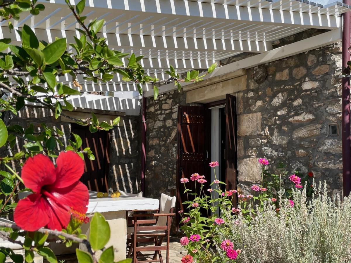 Villa La Familia Maison Traditionnelle Plakias Dış mekan fotoğraf